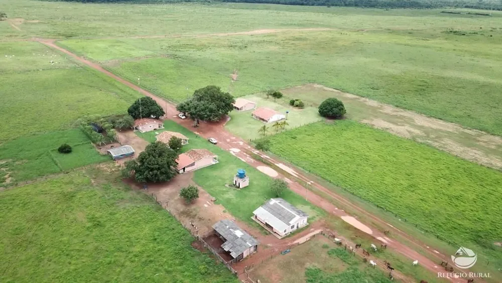 Fazenda, 20800 hectares - Foto 1