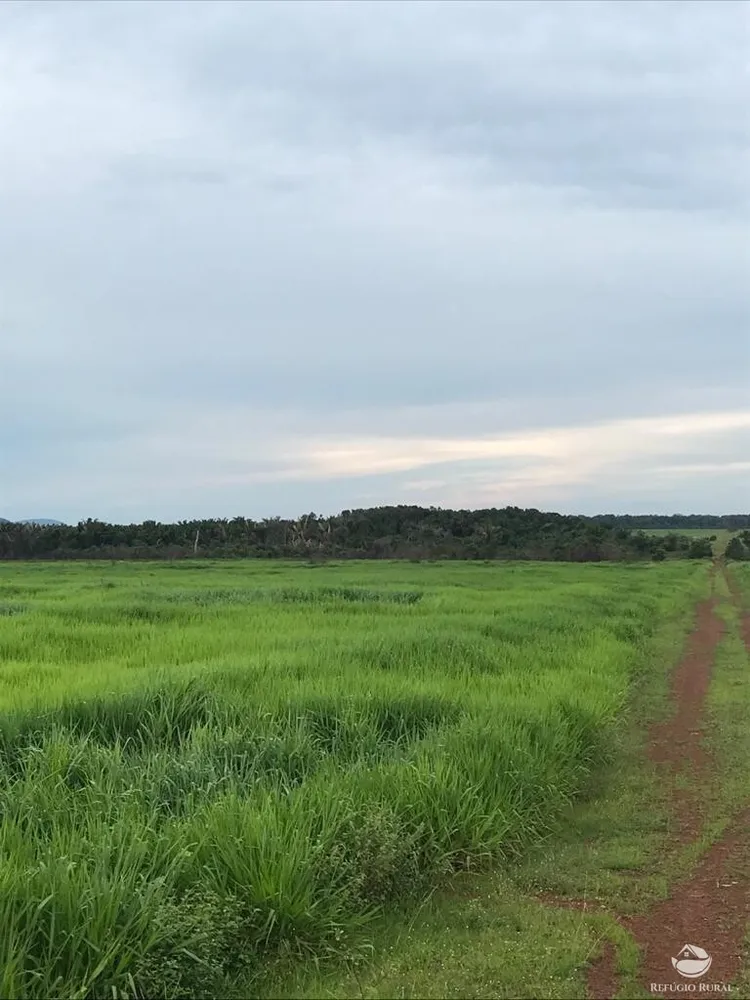 Fazenda, 20800 hectares - Foto 3