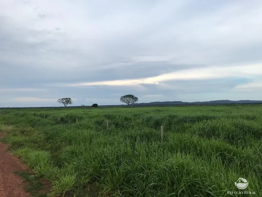 Fazenda, 20800 hectares - Foto 10