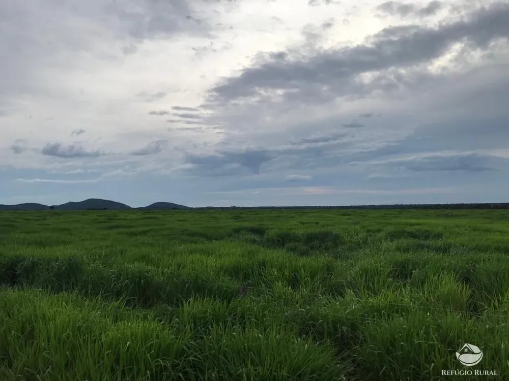 Fazenda, 20800 hectares - Foto 12