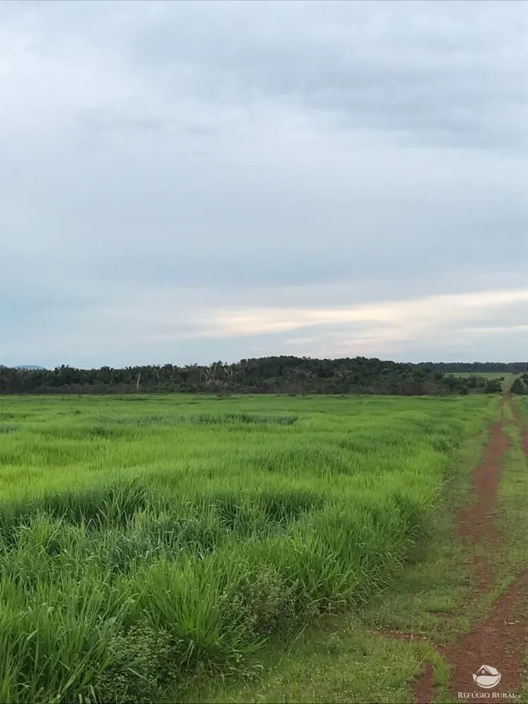 Fazenda, 20800 hectares - Foto 7