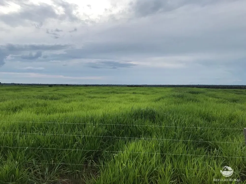 Fazenda, 20800 hectares - Foto 4