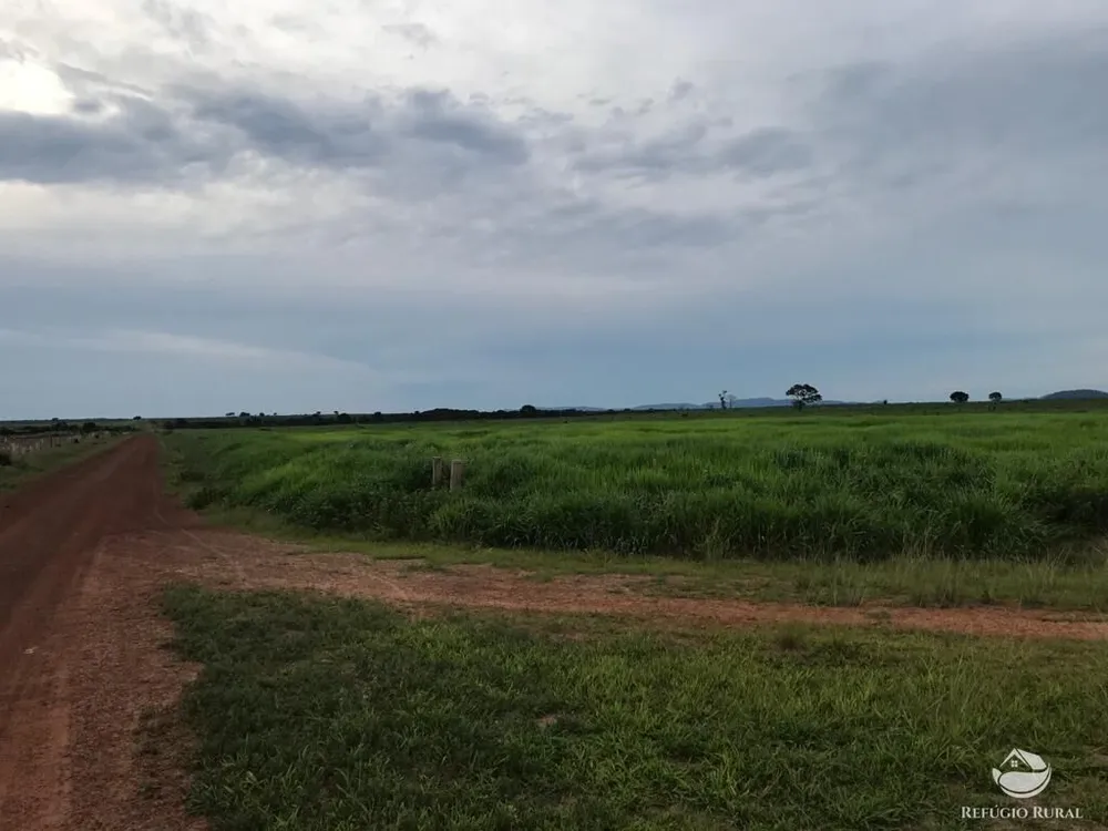Fazenda, 20800 hectares - Foto 8
