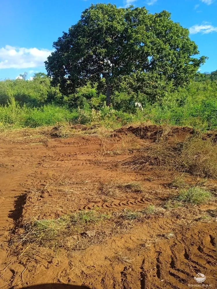 Fazenda, 1534 hectares - Foto 1