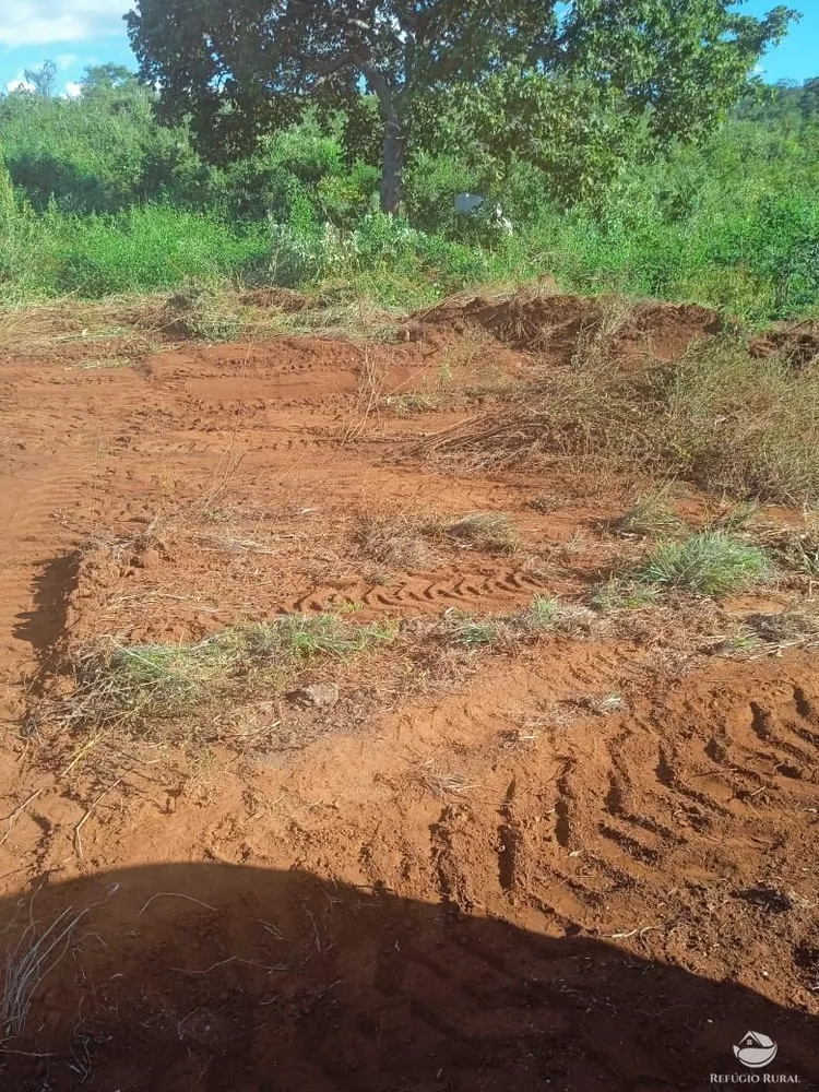 Fazenda, 1534 hectares - Foto 4