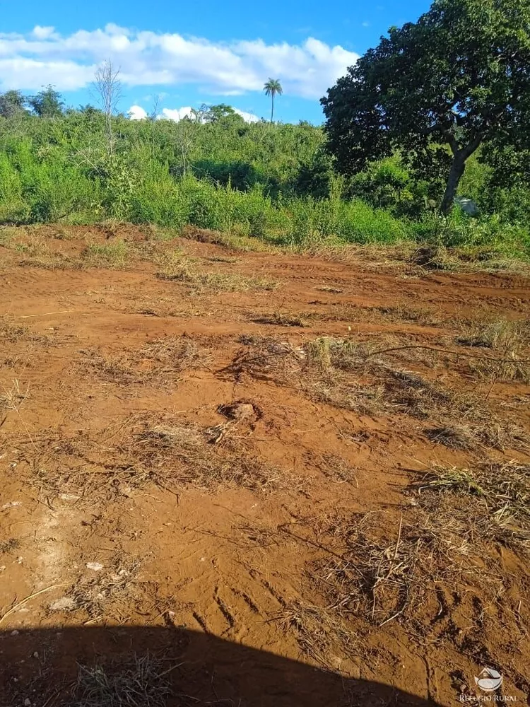 Fazenda, 1534 hectares - Foto 3