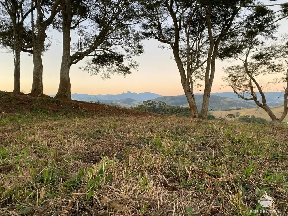 Terreno, 3 hectares - Foto 11