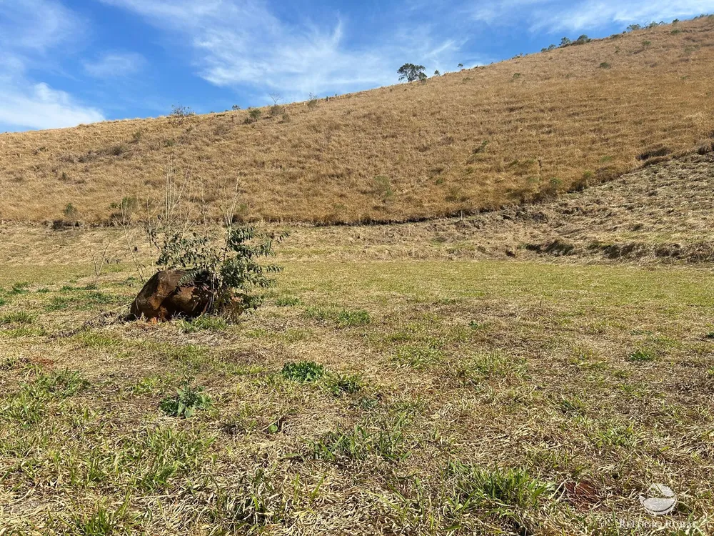 Terreno, 3 hectares - Foto 4
