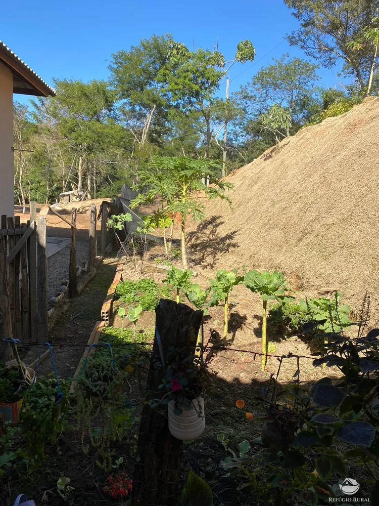 Chácara, 2 hectares - Foto 14