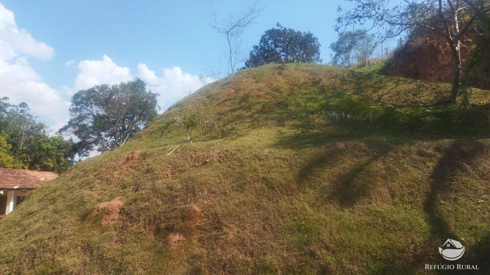 Sítio, 24 hectares - Foto 32