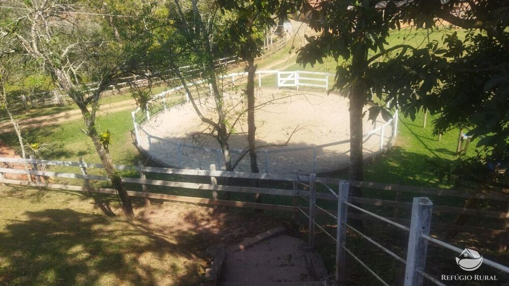Sítio, 24 hectares - Foto 38