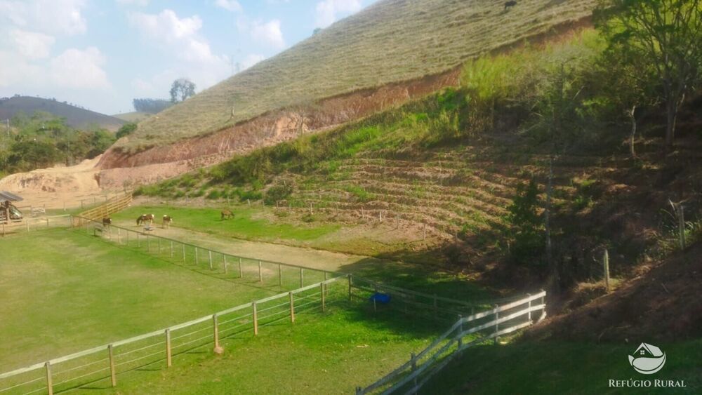 Sítio, 24 hectares - Foto 35