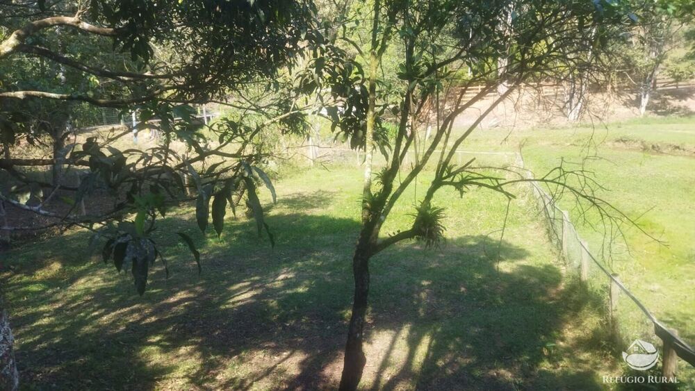 Sítio, 24 hectares - Foto 46
