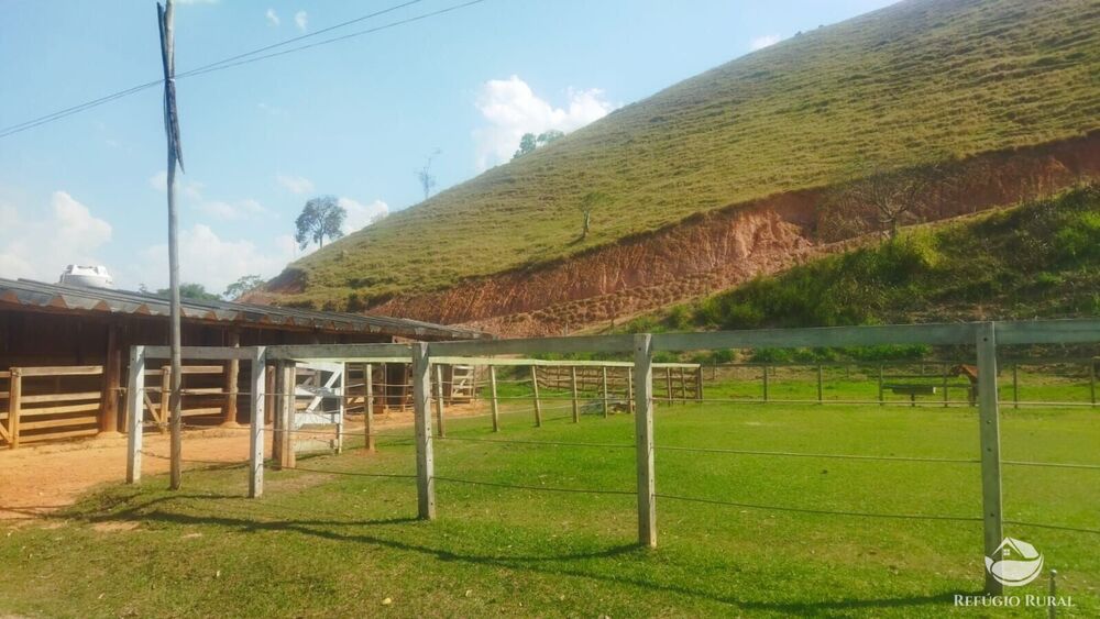 Sítio, 24 hectares - Foto 14