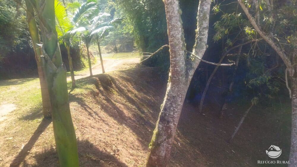 Sítio, 24 hectares - Foto 29