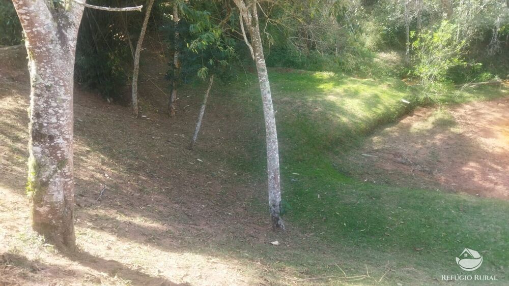 Sítio, 24 hectares - Foto 6
