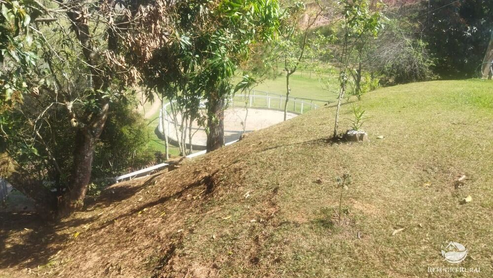 Sítio, 24 hectares - Foto 19