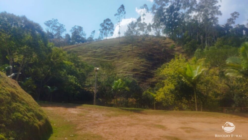 Sítio, 24 hectares - Foto 49