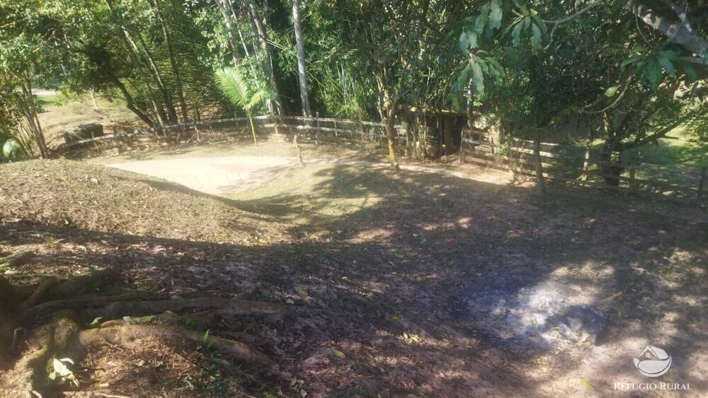 Sítio, 24 hectares - Foto 22