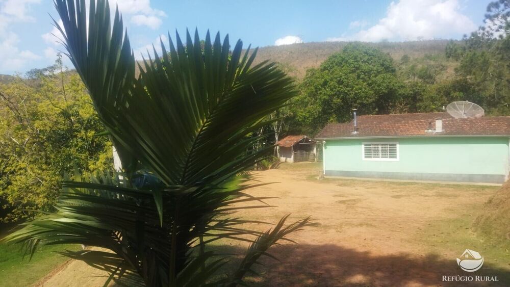 Sítio, 24 hectares - Foto 12