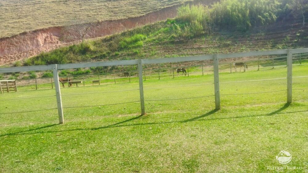 Sítio, 24 hectares - Foto 8