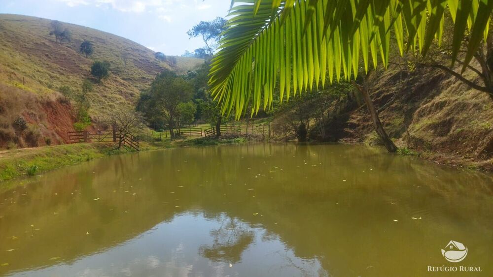 Sítio, 24 hectares - Foto 45