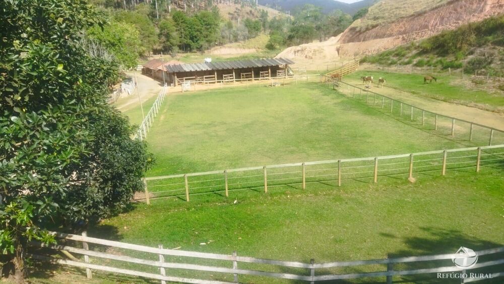 Sítio, 24 hectares - Foto 48