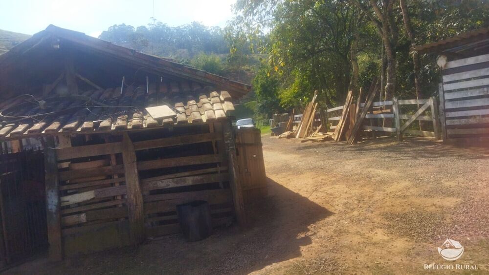 Sítio, 24 hectares - Foto 4