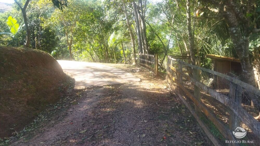 Sítio, 24 hectares - Foto 37