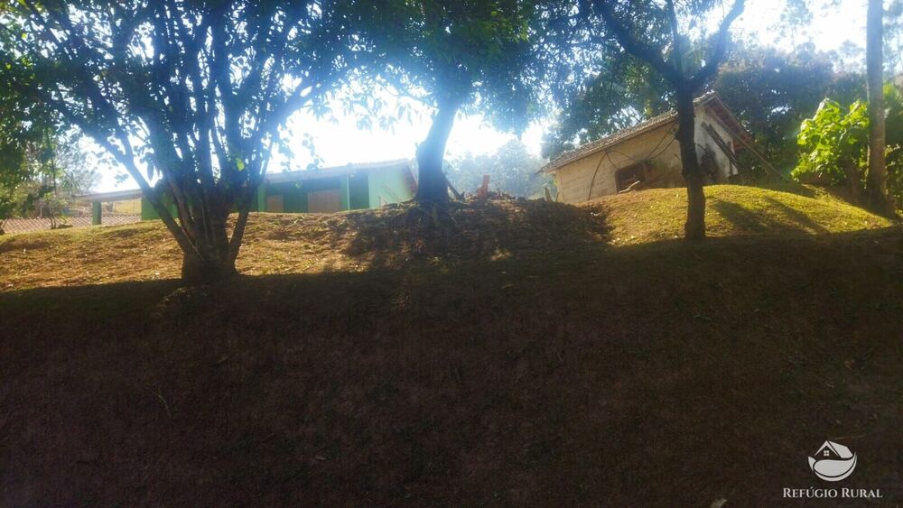 Sítio, 24 hectares - Foto 10