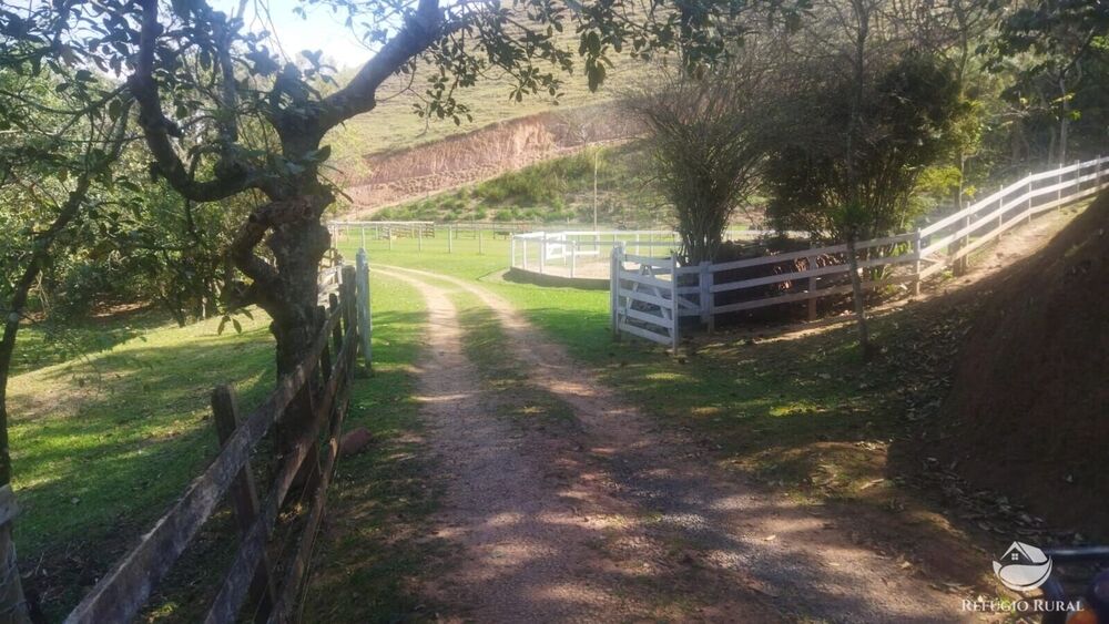 Sítio, 24 hectares - Foto 39