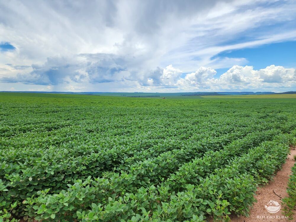 Fazenda à venda com 3 quartos, 22800000m² - Foto 1
