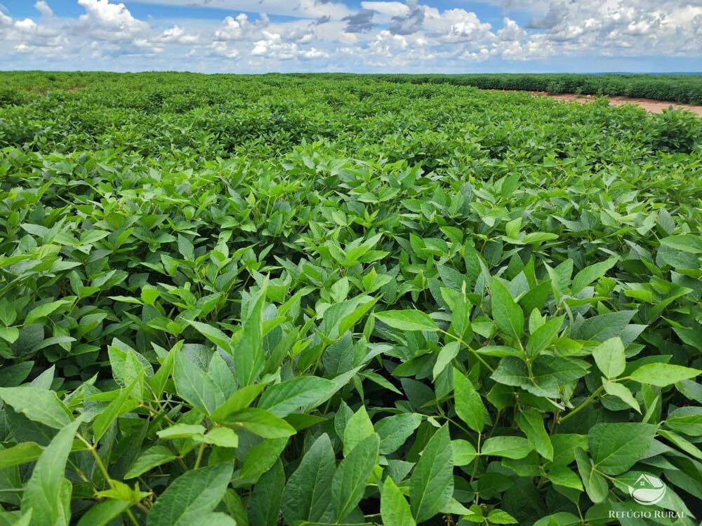 Fazenda à venda com 3 quartos, 22800000m² - Foto 2