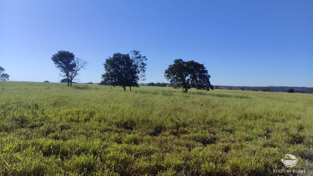 Fazenda, 765 hectares - Foto 6