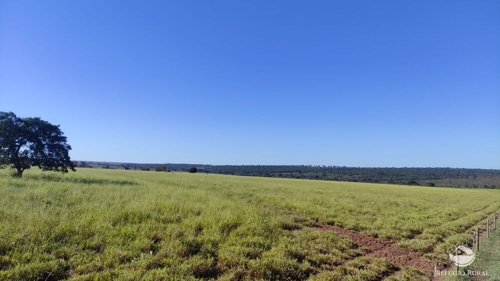 Fazenda, 765 hectares - Foto 1
