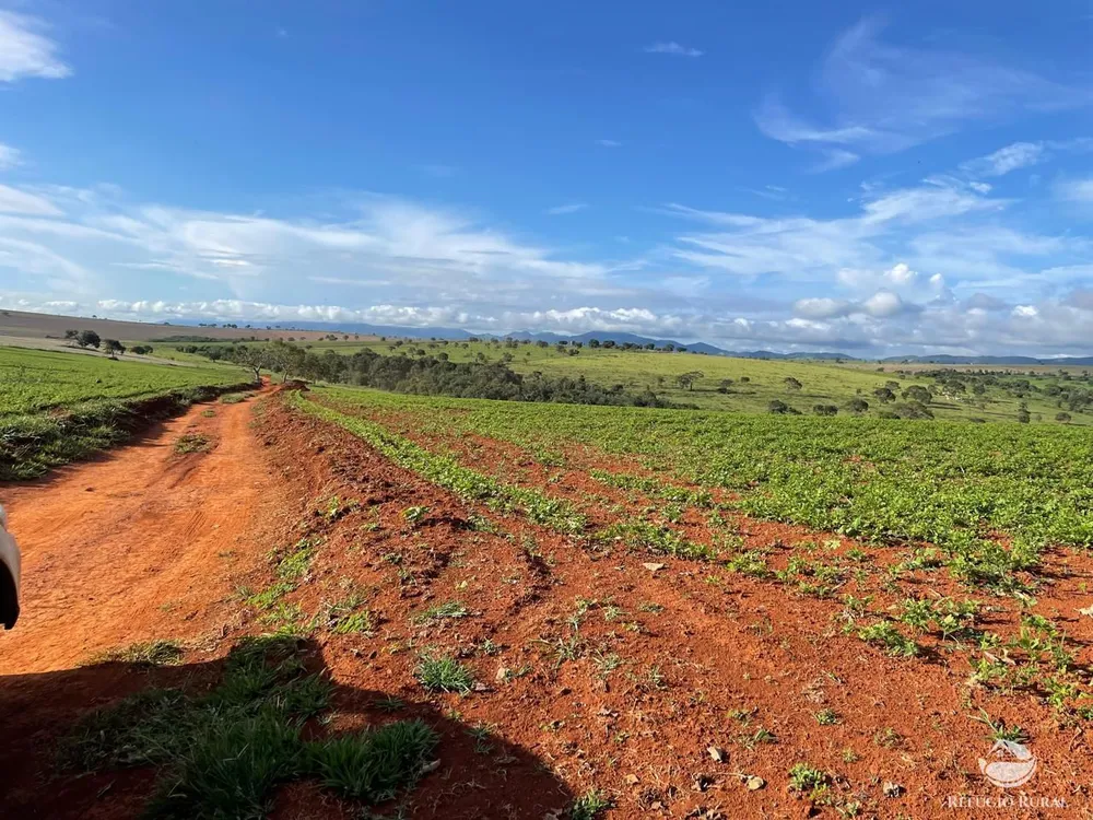Fazenda, 1480 hectares - Foto 2