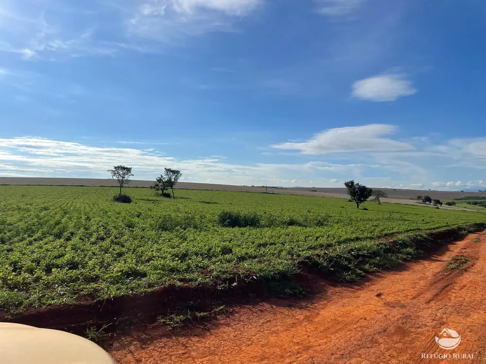 Fazenda, 1480 hectares - Foto 6
