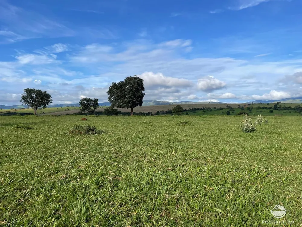 Fazenda, 1480 hectares - Foto 1
