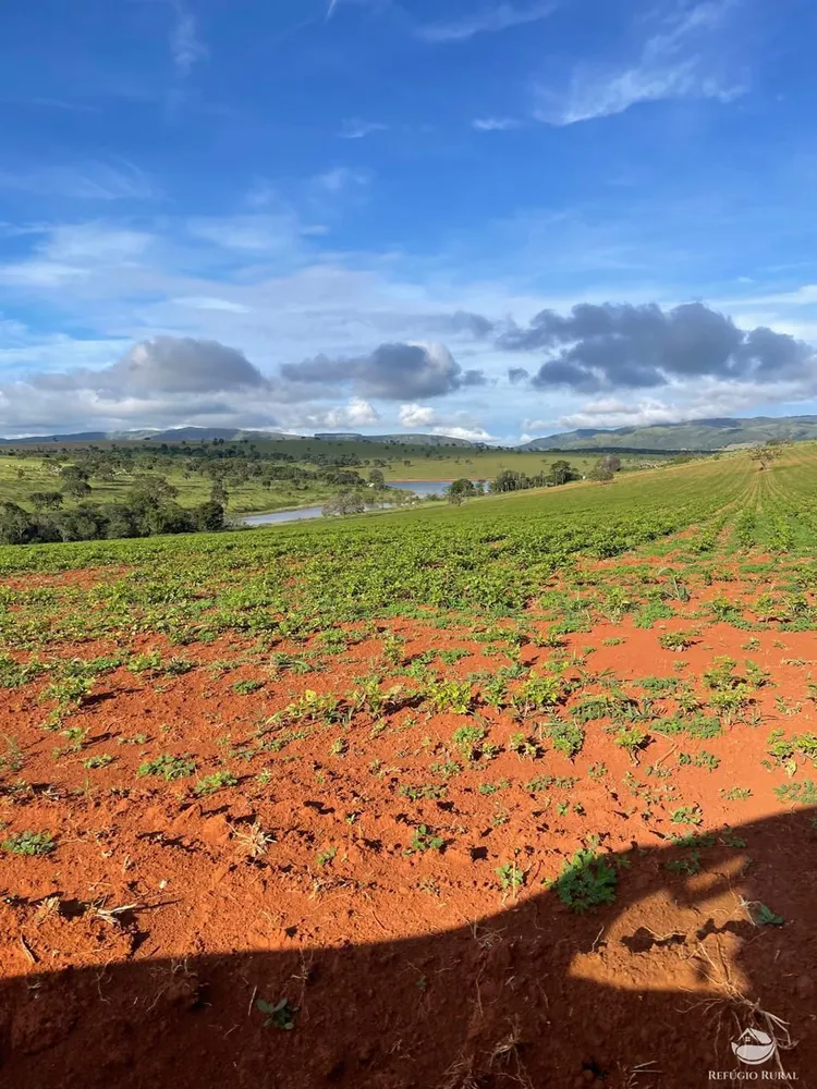 Fazenda, 1480 hectares - Foto 4