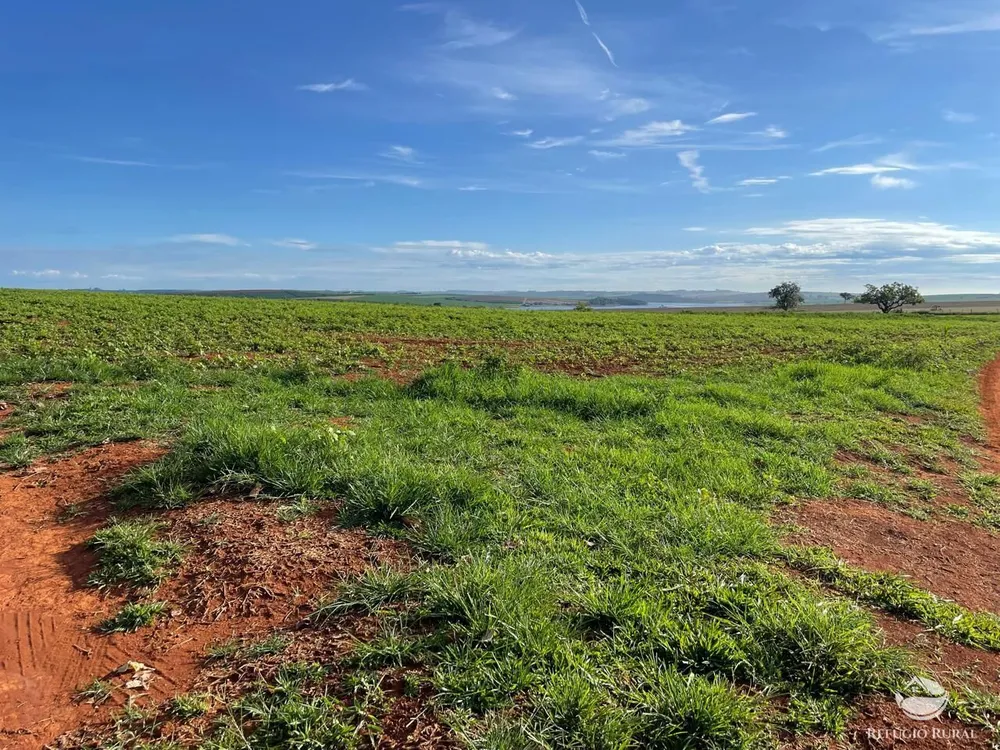 Fazenda, 1480 hectares - Foto 3