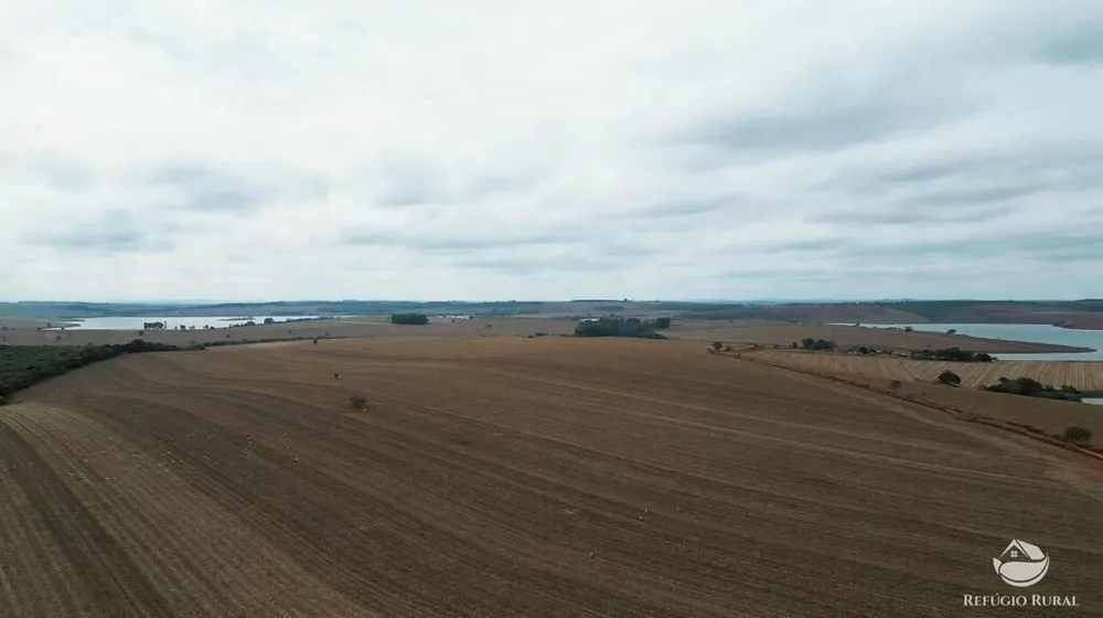 Fazenda, 1480 hectares - Foto 11