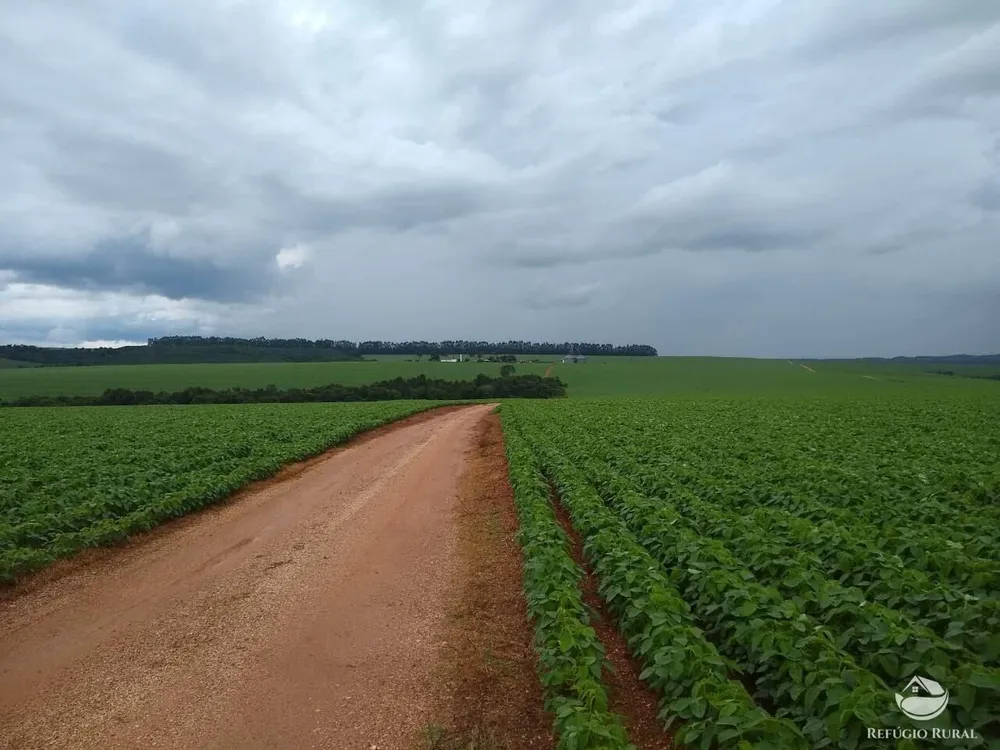 Fazenda, 1480 hectares - Foto 7