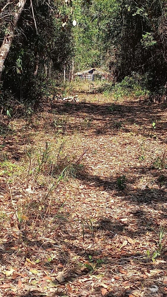 Fazenda à venda com 1 quarto, 9420000m² - Foto 1