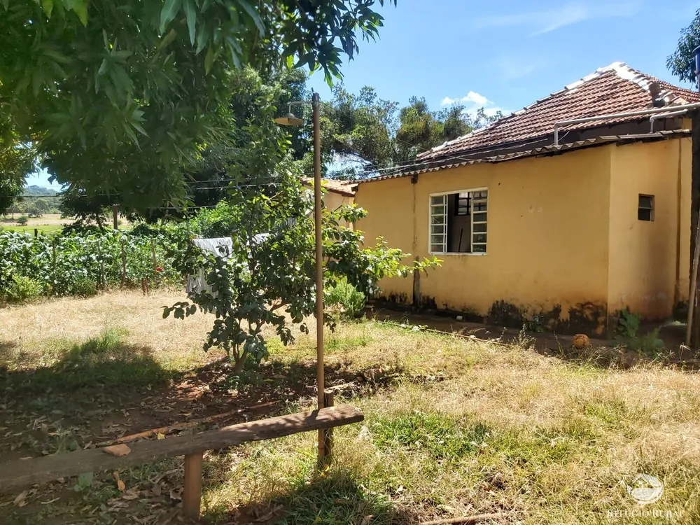 Chácara, 10 hectares - Foto 1