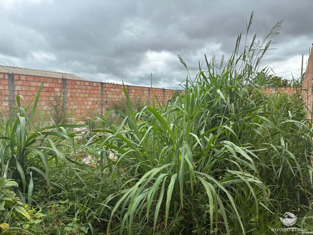 Terreno, 250 m² - Foto 2