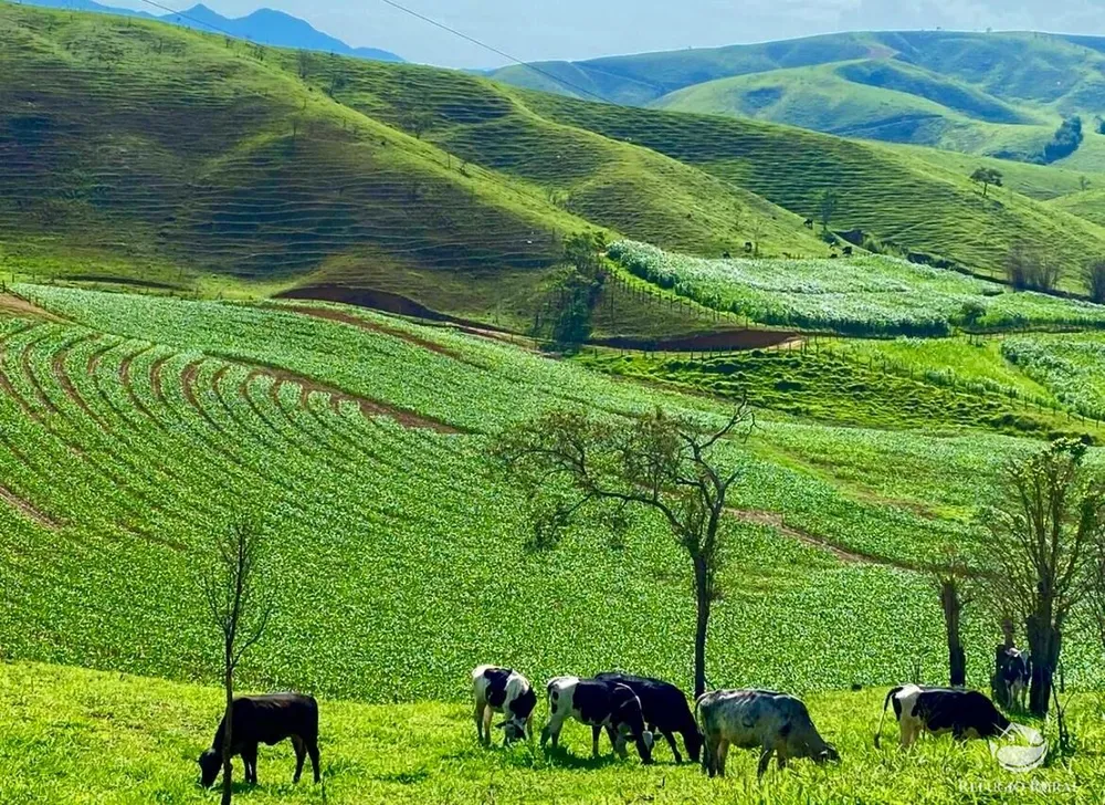 Fazenda, 92 hectares - Foto 1