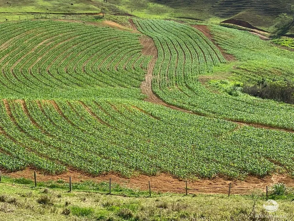 Fazenda, 92 hectares - Foto 6