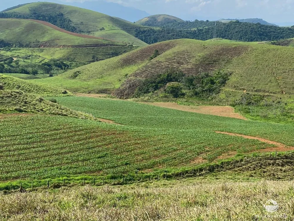 Fazenda, 92 hectares - Foto 2
