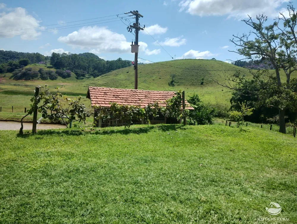Sítio, 3 hectares - Foto 1