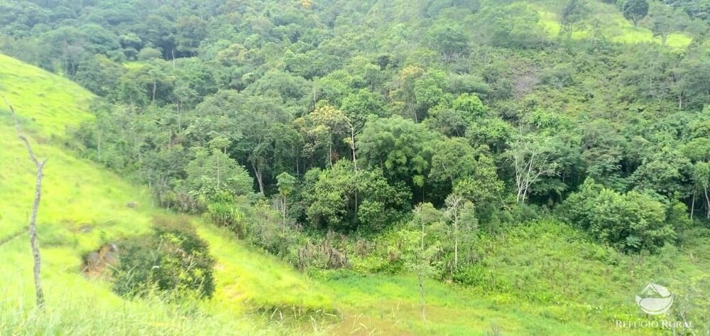 Terreno à venda, 22000m² - Foto 1